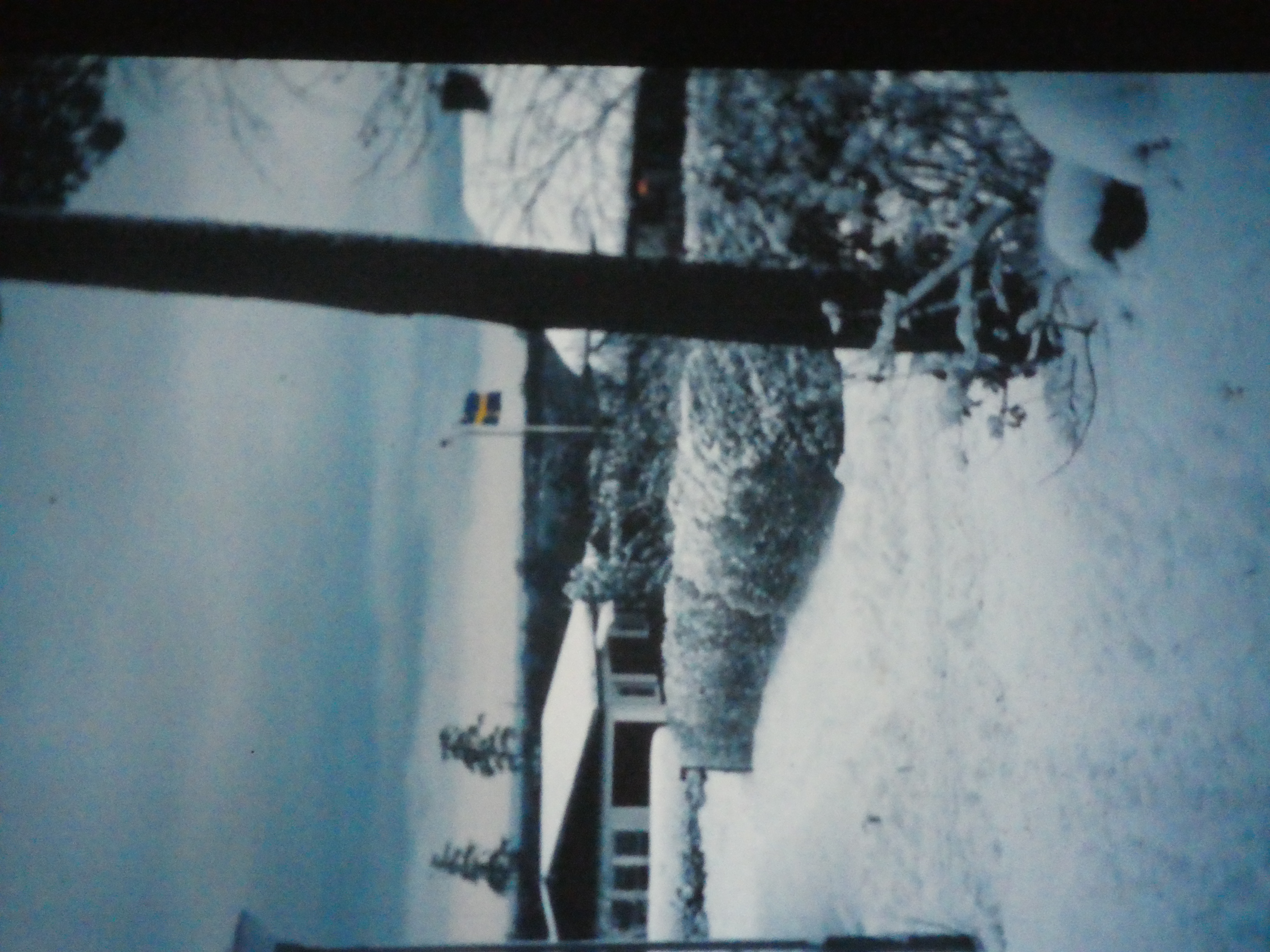 P1020478