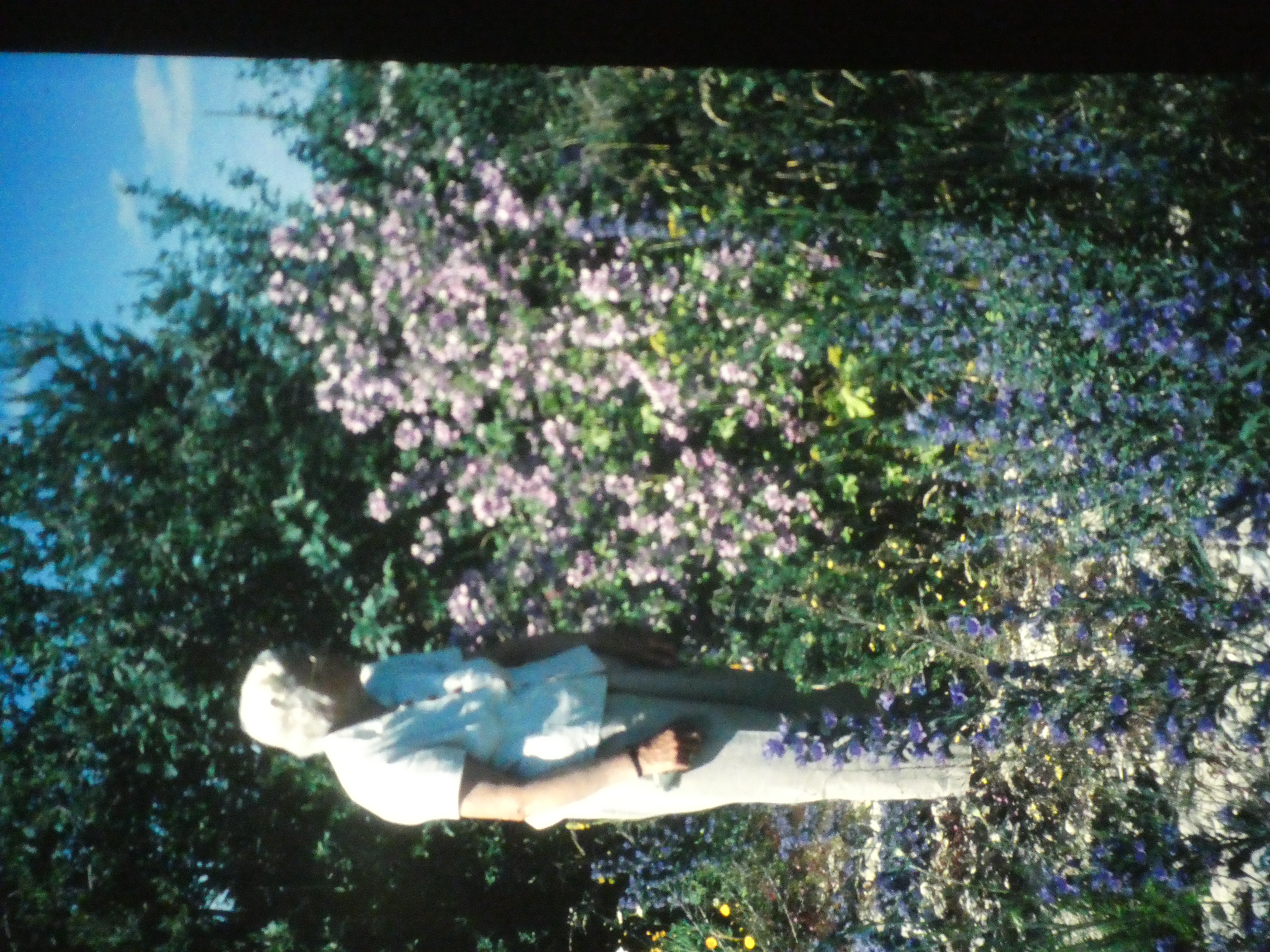 P1020514